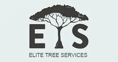 Elite Tree Services Testimonials