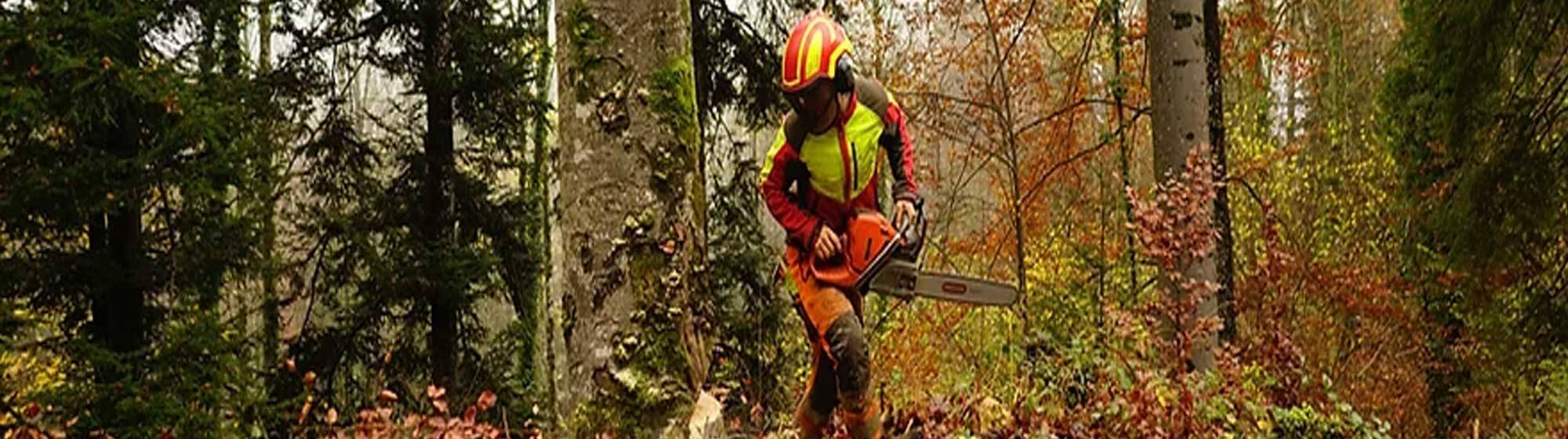 tree-felling-carousel